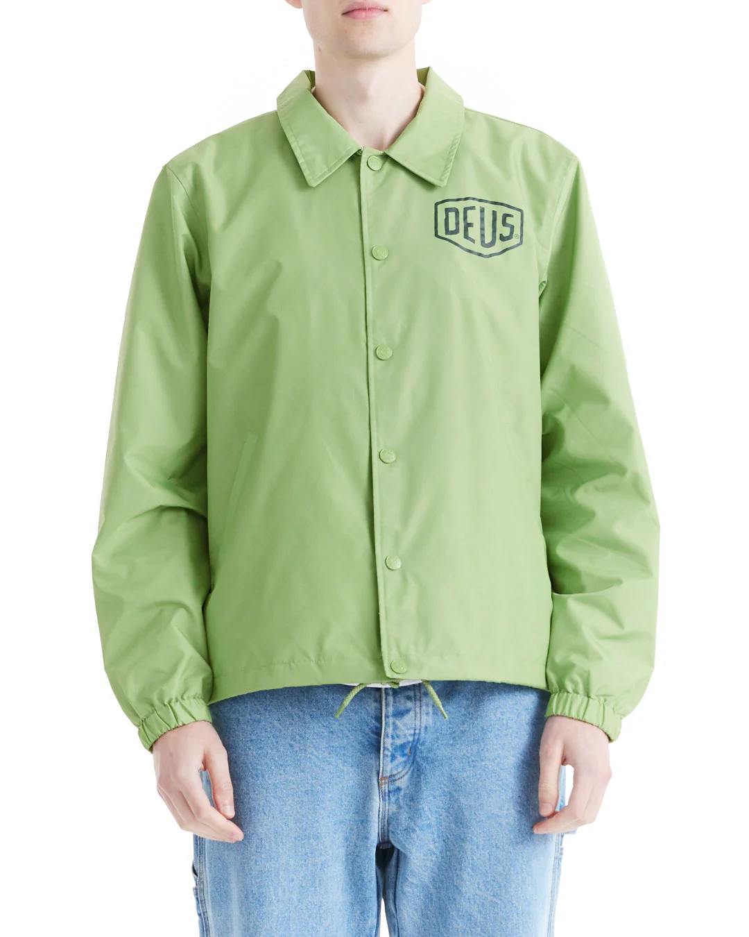 Biarritz Coach - Tendril Green