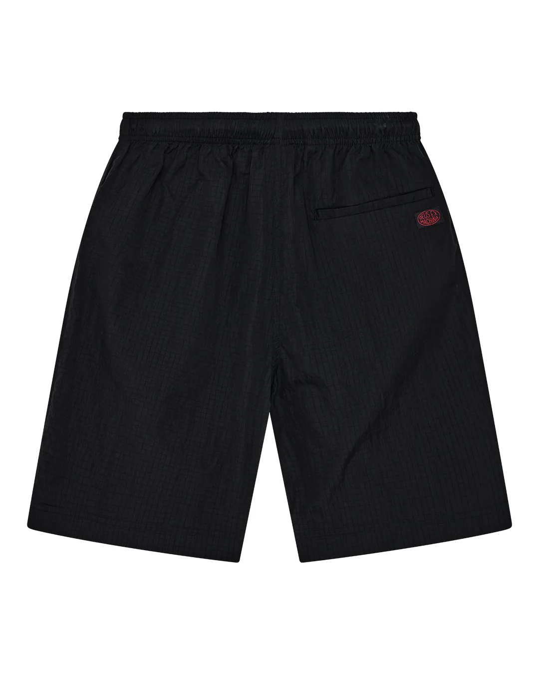 Narrator Short - Black Beauty - Image 7