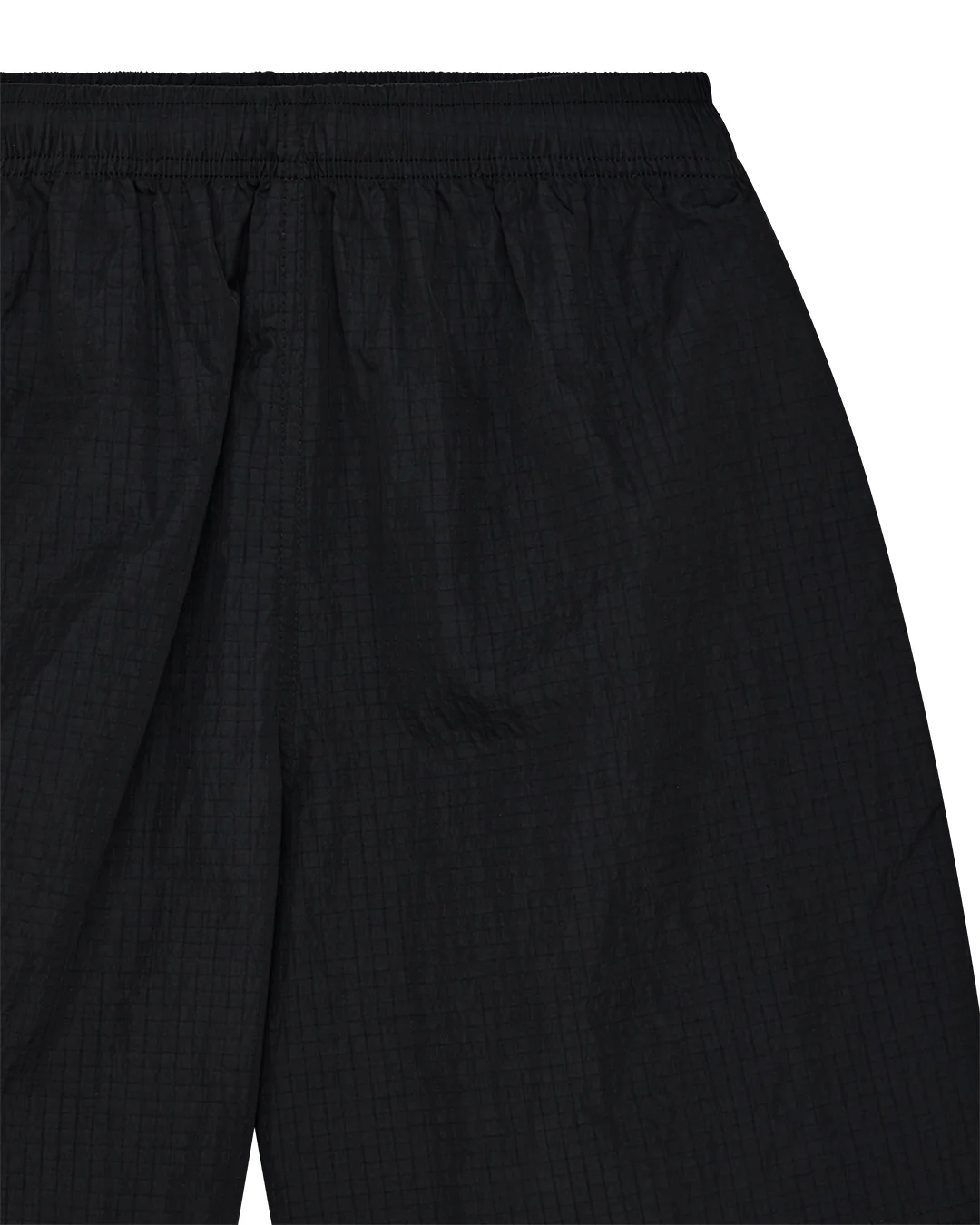 Narrator Short - Black Beauty - Image 8