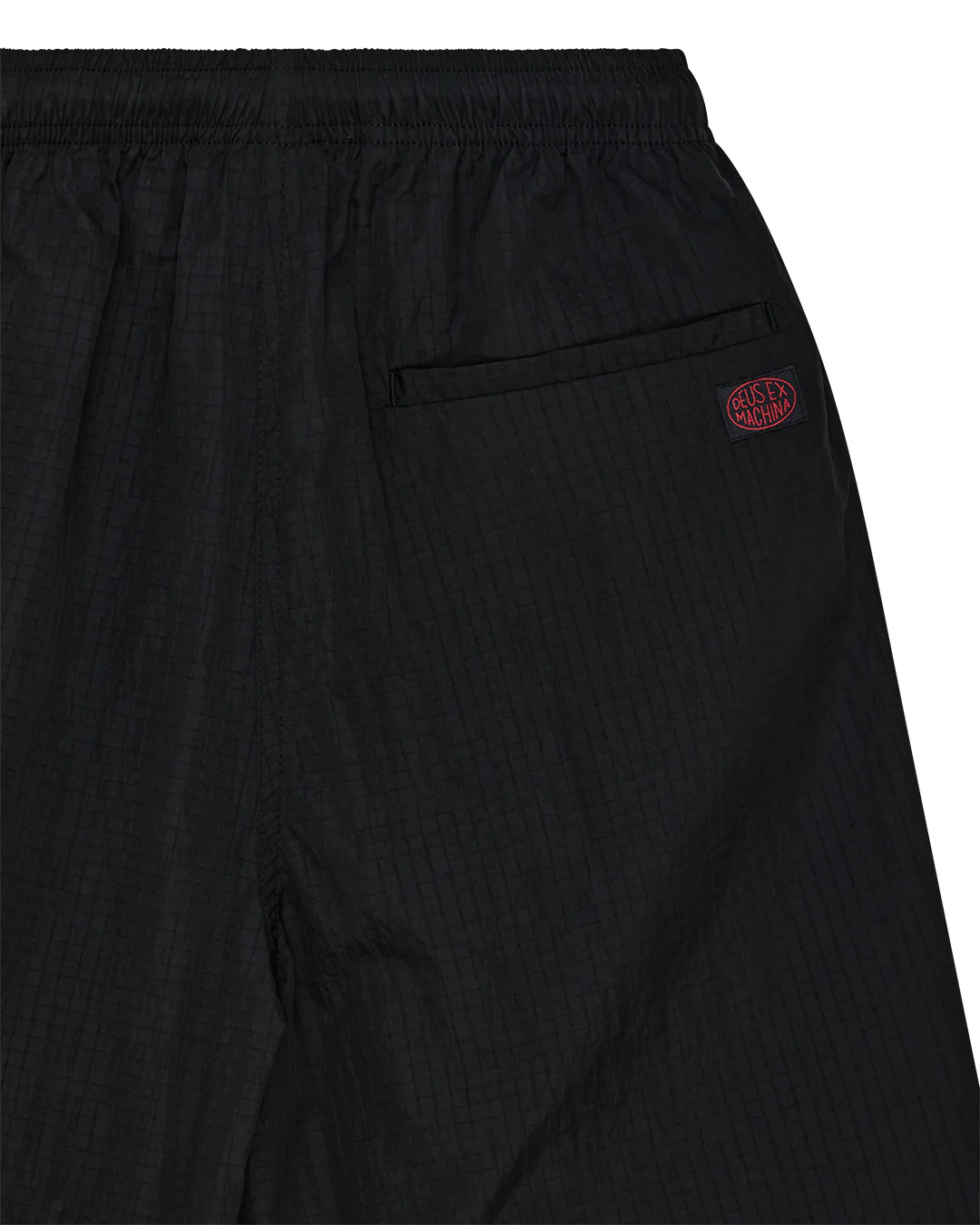 Narrator Short - Black Beauty - Image 9